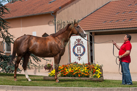 20080724_EKL_0003