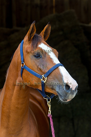 20120902_EKL_0206