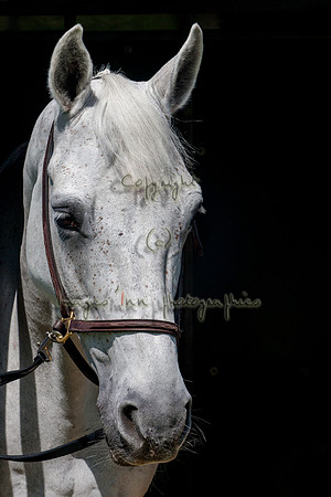 20120602_EKL_0012