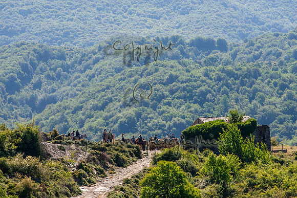 20090612_EKL_0002