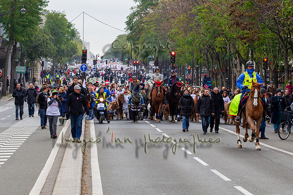 20131124_EKL_0050