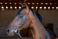 20080724_EKL_0006