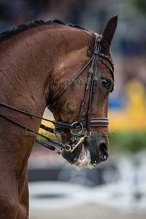 20150816_EKL_0201