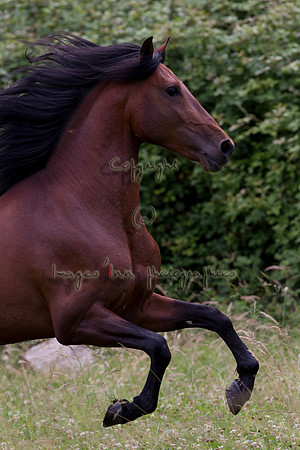 20110531_Y5G_0130