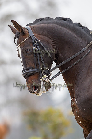 20130406_EKL_0098