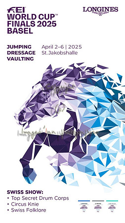 basel 2025 FEI