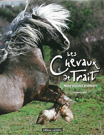 Chevaux de Traits