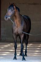 20080724_EKL_0014