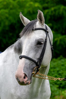 20080608_EKL_0023