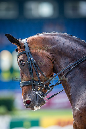 20150813_EKL_0190
