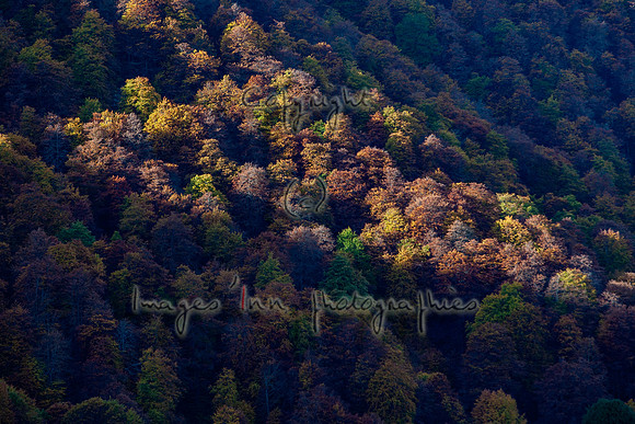 20071022_EKL_0006