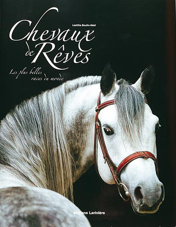 Chevaux de Rêves