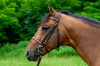 20080607_EKL_0037
