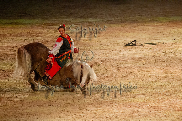20121103_EKL_0258