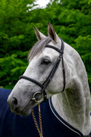 20080607_EKL_0009