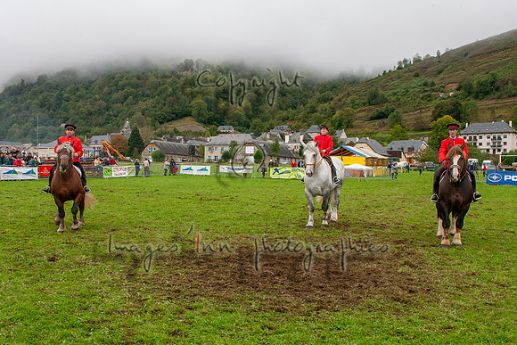 20061007_EKL_0088