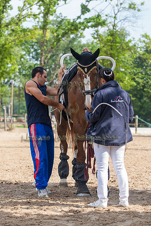20110821_EKL_0015