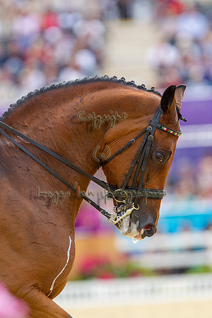 20120803_EKL_0108