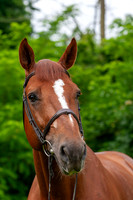 20080607_EKL_0061
