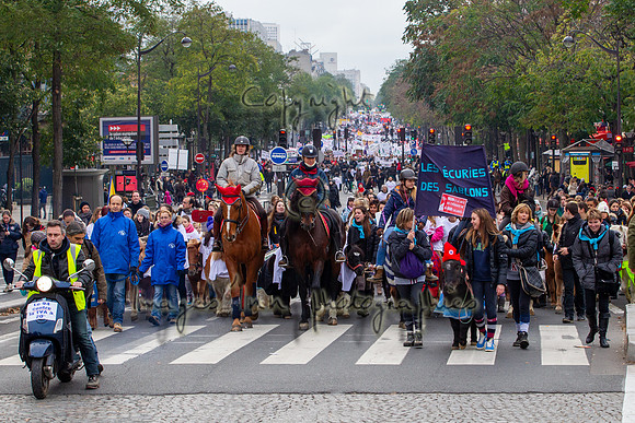 20131124_EKL_0075