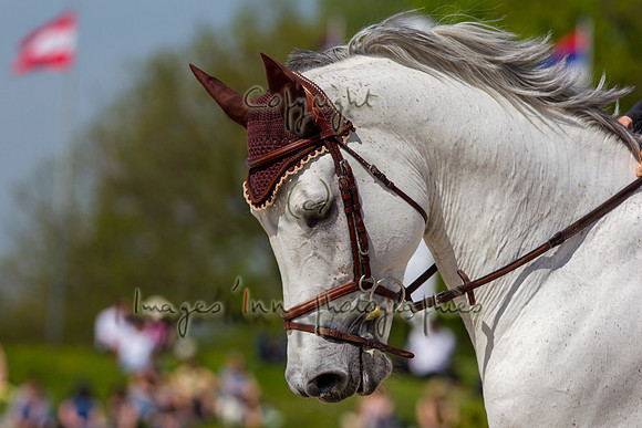 20110410_EKL_0035
