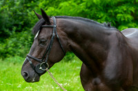 20080607_EKL_0102