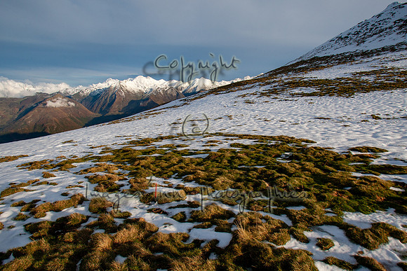 20081101_EKL_0034