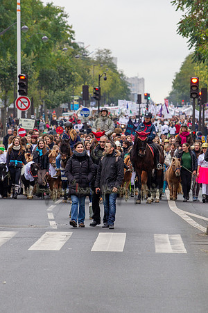 20131124_EKL_0046