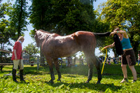 20090627_EKL_0011