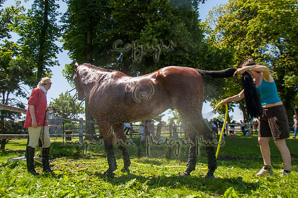 20090627_EKL_0011