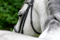 20080608_EKL_0024