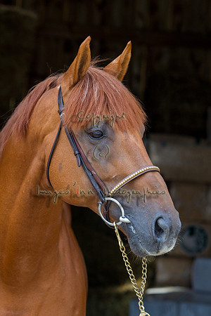 20120902_EKL_0218
