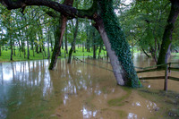 20121020_EKL_0015