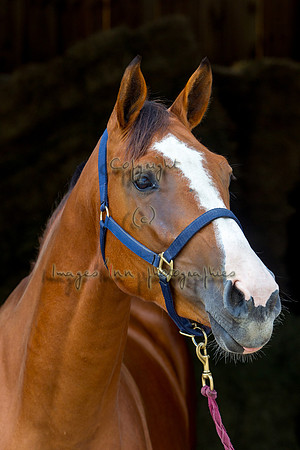 20120902_EKL_0202