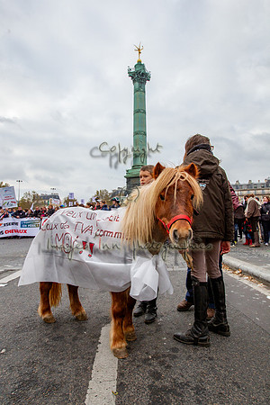 20131124_EKL_0147