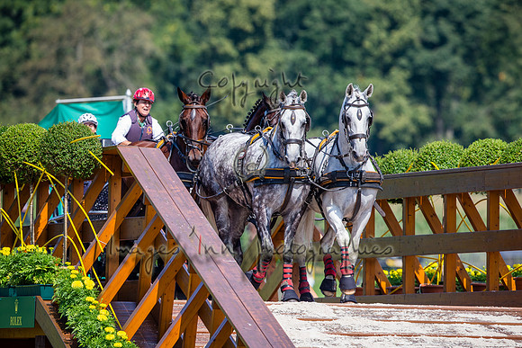 20150822_EKL_0002