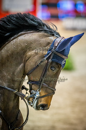 20150206_EKL_0140