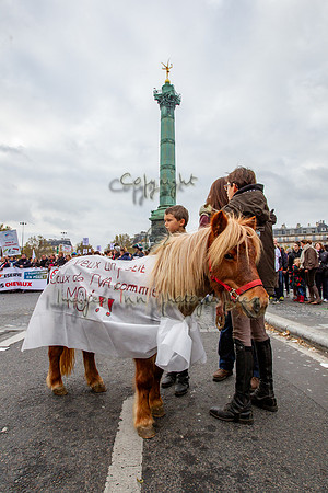 20131124_EKL_0145