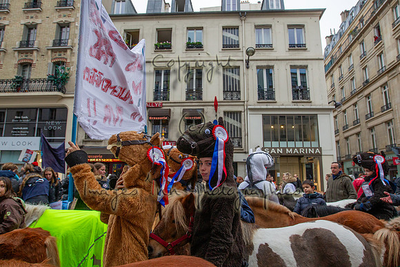 20131124_EKL_0170