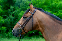 20080607_EKL_0039