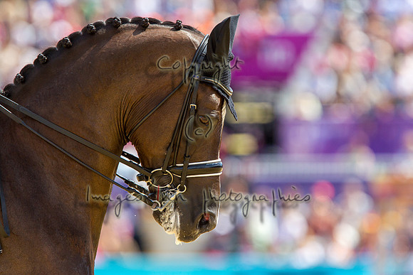 20120803_EKL_0362