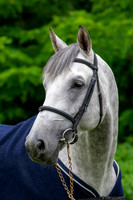 20080607_EKL_0015
