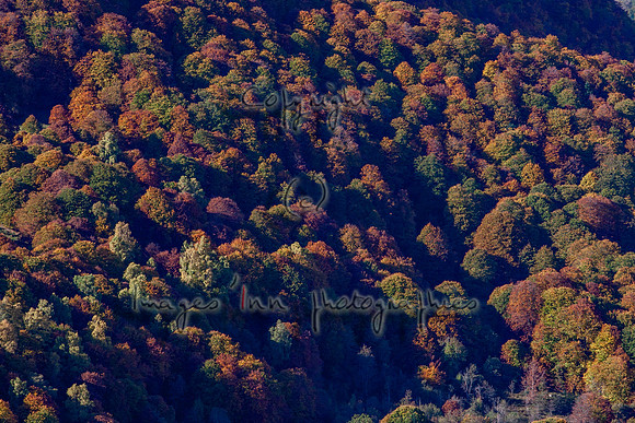 20071022_EKL_0010