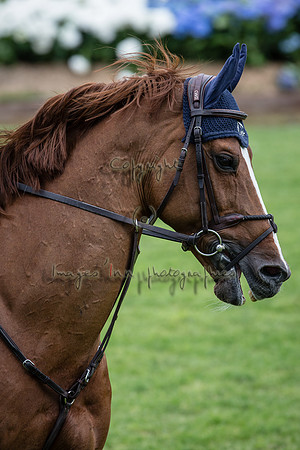 20150514_EKL_0519