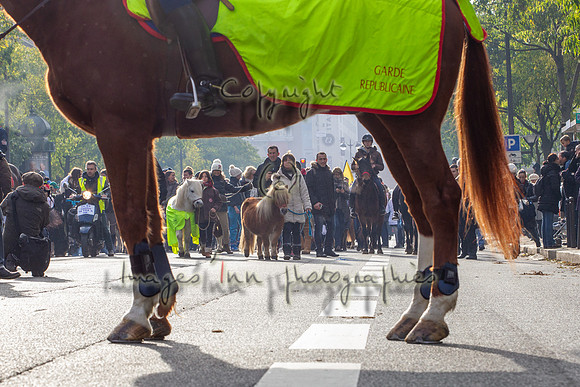 20131124_EKL_0018
