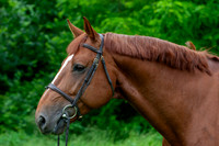 20080607_EKL_0071