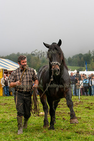 20061007_EKL_0133