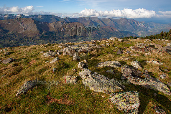 20081101_EKL_0031
