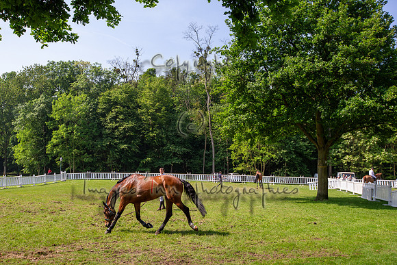 20130608_EKL_0022