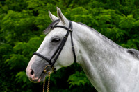 20080608_EKL_0020
